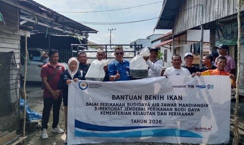 DKPP Batola-BPBAT Mandiangin Bantu Benih Ikan Nila ke Pokdakan Kecamatan Bakumpai