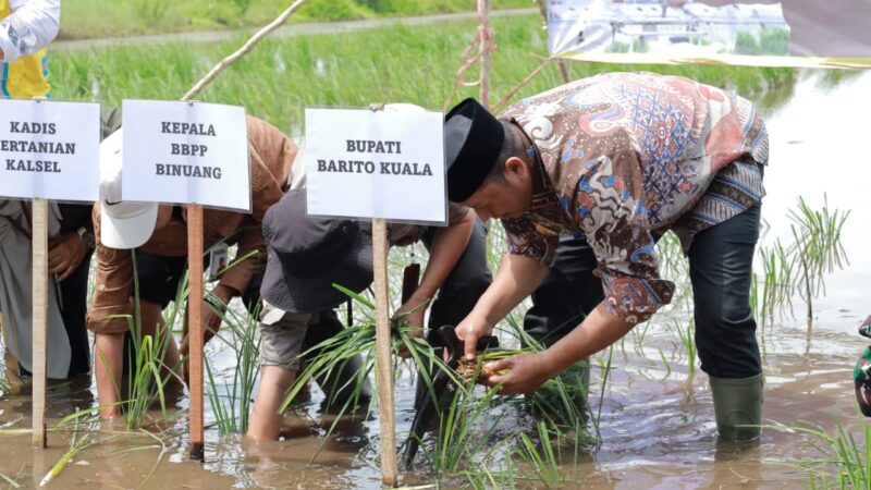 Pemkab Batola-Kementan Lakukakan Gerakan Tanam Serempak di Desa Puntik Dalam