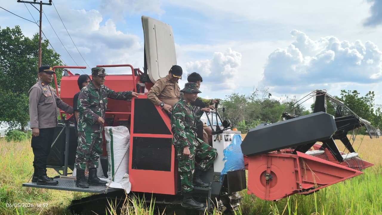 Bupati Muhammad Yamin Panen Padi Bersama Warga Kalamus